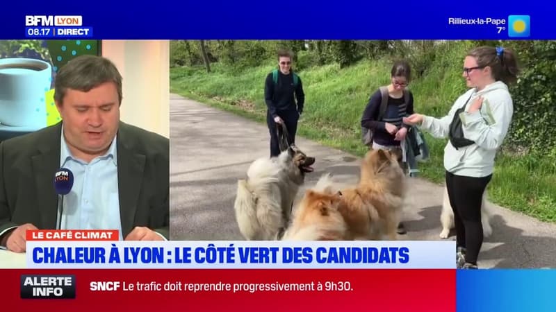 Le Café Climat: les propositions des candidats lyonnais pour faire face au réchauffement climatique