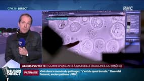 Marseille: vaste opération de vaccination contre le pneumocoque, pour les salariés d’un navire de croisière