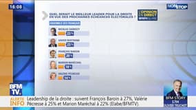 Nicolas Sarkozy, meilleur leader pour la droite selon un sondage ELABE pour BFMTV