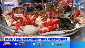 Le Sirha Lyon: dans la peau des compétiteurs aux concours