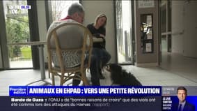 Ehpad: les animaux de compagnie bientôt autorisés 