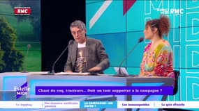 Les nouveaux arrivants à la campagne qui se plaignent, est-ce ridicule ?
