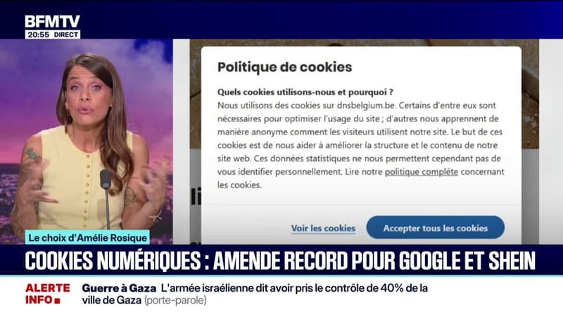 LE CHOIX D'AMÉLIE - Cookies numériques: amende record pour Google et Shein