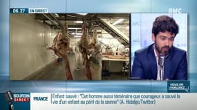 Loi "agriculture et alimentation": il n'y aura pas de vidéo-surveillance obligatoire dans les abattoirs