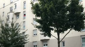 Coup de filet anti-stupéfiants dans le quartier du Tonkin à Villeurbanne.