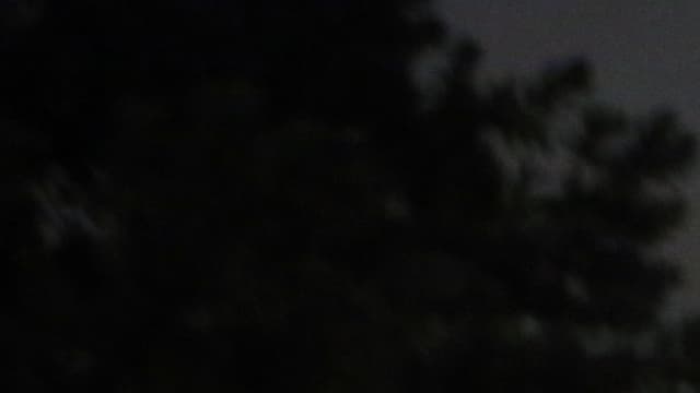 Un manifestant brandit sa pancarte face aux policiers, le 22 septembre, à Charlotte, en Caroline du Nord.