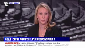 Agriculture: "Il ne peut pas y avoir d'interdiction de produits phytosanitaires sans solution", affirme Marion Maréchal (Reconquête)