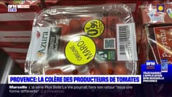 Provence: la colère des producteurs de tomates
