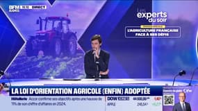 Les experts du soir - jeudi 20 février
