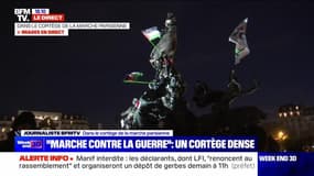 "Marche contre la guerre": un cortège dense à Paris - 11/11