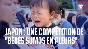 Au Japon, la compétition des "bébés sumos en pleurs" fait son retour