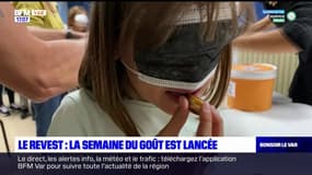 Var: la semaine du goût est lancée à l'école du Revest-les-Eaux