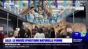 Lille: le musée d'histoire naturelle se prépare à une fermeture totale pour travaux