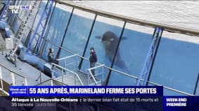 Marineland fait le plein de visiteurs avant sa fermeture définitive