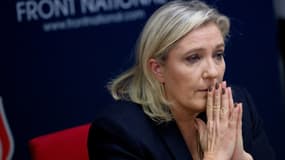 Marine Le Pen a démis deux responsables régionaux Front national. (Photo d'illustration)