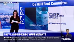 Nouvelle souche du Covid-19: faut-il s'inquiéter de la mutation du virus ?