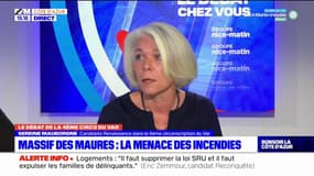 Var: Sereine Mauborgne (Renaissance) revient sur l'incendie de la plaine des Maures