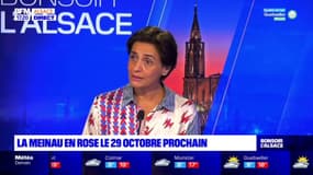 Strasbourg: la Meinau se pare de rose le 29 octobre