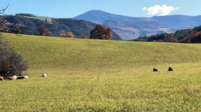 Le terrain de 67 hectares des Cristayes.