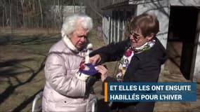 Aux Etats-Unis, des retraitées tricotent des pulls pour poulets 