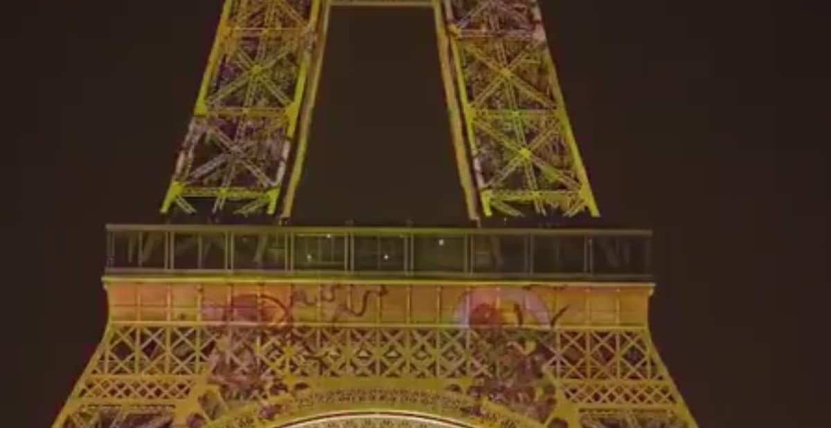 placeholder video