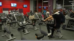 Comment bien choisir sa salle de sport?