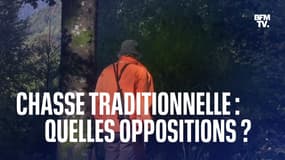  "Type de chasse le moins dangereux pour la biodiversité" ou "maltraitances": quels avis s'opposent sur les chasses traditionnelles des oiseaux ?