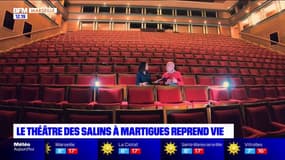 Martigues: le retour des spectacles internationaux au théâtre des Salins