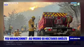 Alpes-Maritimes: le département touché par plusieurs feux de forêt, 50 hectares brûlés à Briançonnet