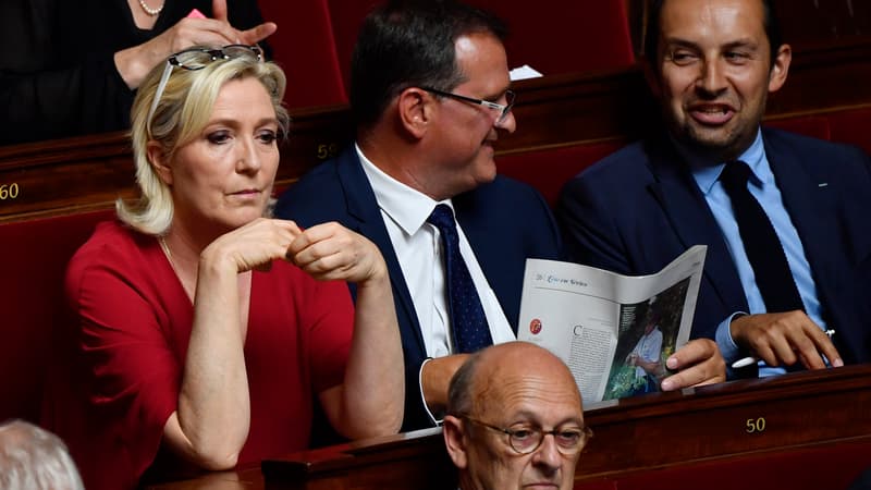 Marine Le Pen à un débat à l'Assemblée nationale le 31 juillet 2018.