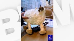 6.000 peluches en provenance de Chine ont été saisies par les douanes à Marseille.