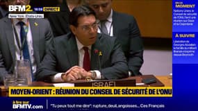 Moyen-Orient: "Israël fait le travail de l'ONU", estime le représentant de l'État hébreux