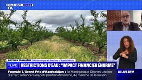 Restrictions d'eau : "impact financier énorme" - 29/04