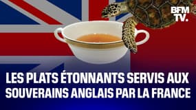Bouillon de tortue, hérisson périgourdin... les plats étonnants servi par la France aux souverains britanniques 