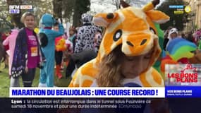 Rhône: 23.000 personnes au rendez-vous pour le marathon du Beaujolais