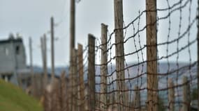 La clôture en barbelés de l'ancien camp de concentration nazi du Struthof, le 16 avril 2015 à Natzwiller, dans le Bas-Rhin.