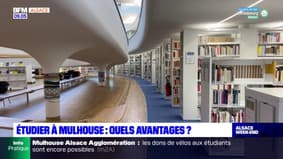Haut-Rhin: quels avantages à étudier à Mulhouse?