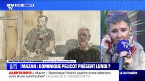 Viols de Mazan: "Personne ne pourra tolérer un procès qui se tienne sans la présence de Dominique Pélicot", assure Me Béatrice Zavarro