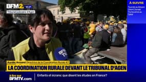 Agriculteurs:"le gouvernement n'a pas entendu la détresse de la campagne" (Coordination rurale)