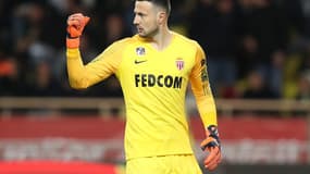 Subasic
