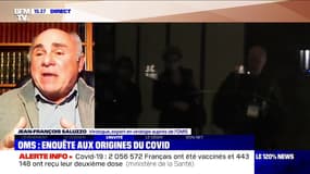 Origine du Covid-19: pour cet expert en virologie auprès de l'OMS, "les chercheurs chinois avaient de quoi résoudre ce problème dès le départ"