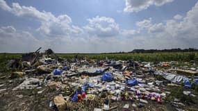 Sur les lieux du crash de l'avion de la Malaysia Airlines, près du village de Grabove, dans l'est de l'Ukraine, le 23 juillet 2014.