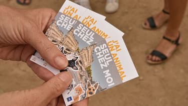 La carte "j'ai un animal seul chez moi"