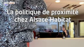 Habitat en Alsace : La politique de proximité chez Alsace Habitat