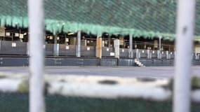 Mobilisation des antispécistes: "Les cochons sont des individus comme nous"