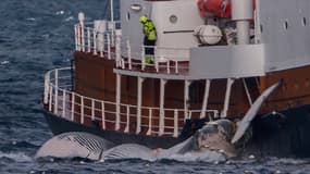 Des navires de la société islandaise de chasse à la baleine Hvalur le 24 juin 2022