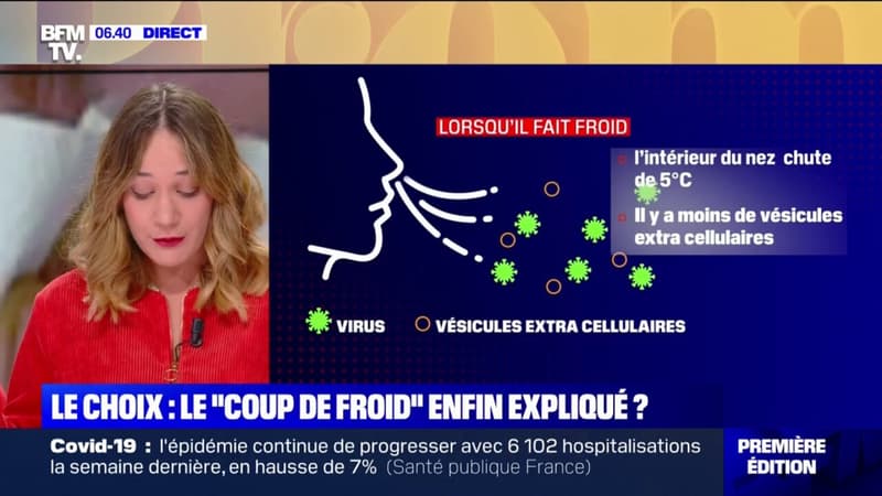 Le choix d'Angèle - Pourquoi le "coup de froid" rend malade en hiver ?
