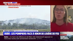 Incendie dans l’Aude: “On ne savait plus où on était, tellement le paysage n’a plus rien à voir”, témoigne cette vigneronne 