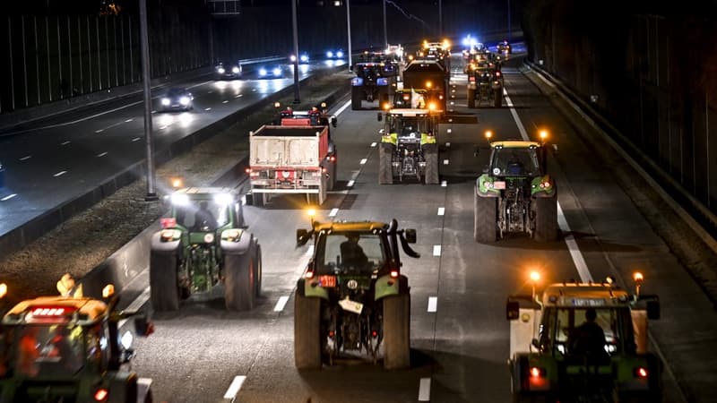 Agriculteurs en colère: de nombreuses actions et blocages en Belgique