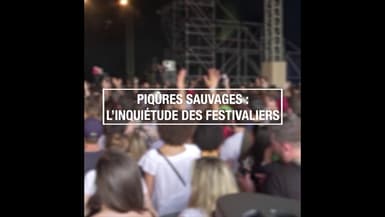 Piqûres sauvages : l'inquiétude des festivaliers